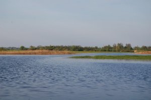 Рыбалка у села Горзвин Волынской области