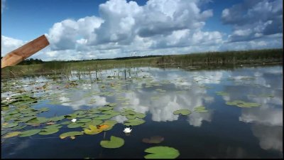 Рыбалка у села Грабское