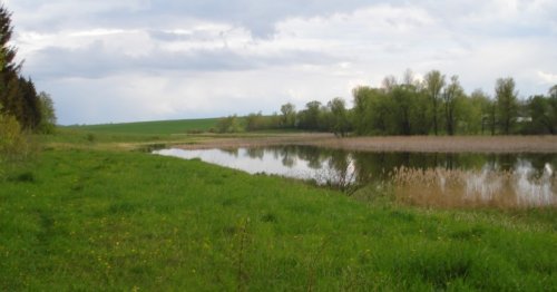 Рибалка біля села Махнівка (Комсомольське) Вінницька область