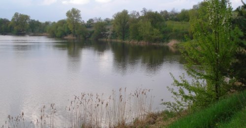 Рибалка біля села Махнівка (Комсомольське) Вінницька область