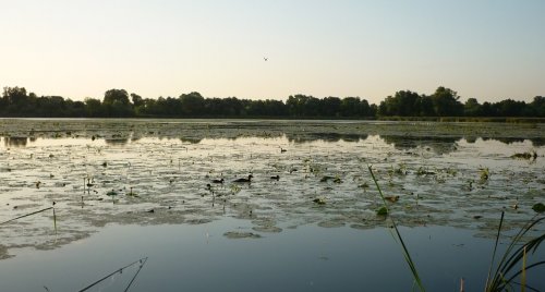 Рибалка біля села Махнівка (Комсомольське) Вінницька область