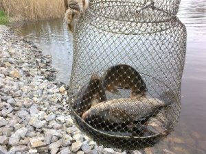 Рыбалка у села Малософиевка в Днепропетровской области-1