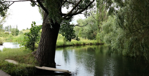 Риболовля біля села Оздов Волинської області