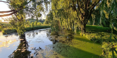 Риболовля біля села Оздов Волинської області
