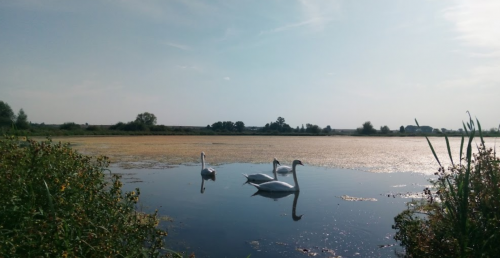 Риболовля біля села Оздов Волинської області