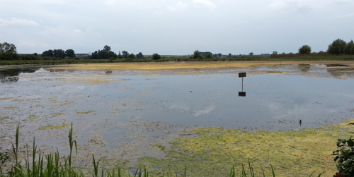 Риболовля біля села Оздов Волинської області