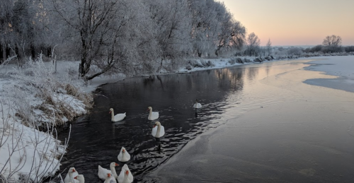 Риболовля біля села Оздов Волинської області