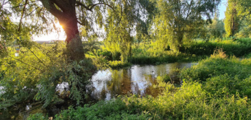 Риболовля біля села Оздов Волинської області