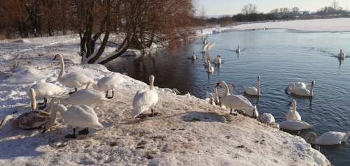 Риболовля біля села Оздов Волинської області