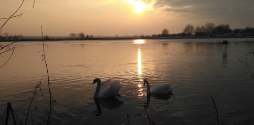 Риболовля біля села Оздов Волинської області