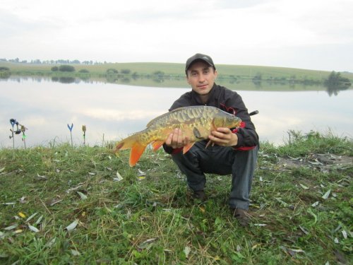 Рибалка біля села Твориничі Волинської області