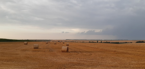 Рибалка біля села Угринів Волинської області