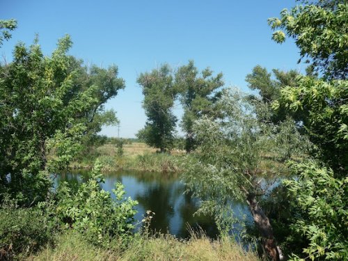 Рибалка біля села Вовче 