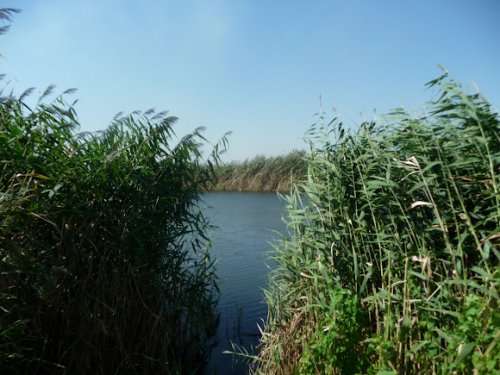 Рибалка біля села Вовче 