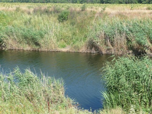 Рибалка біля села Вовче 