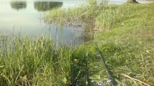 Рибалка у Вільхівці Волинської області2936-x5bwua20160930-12936-1i6xjps20160930-12936-16mxaud