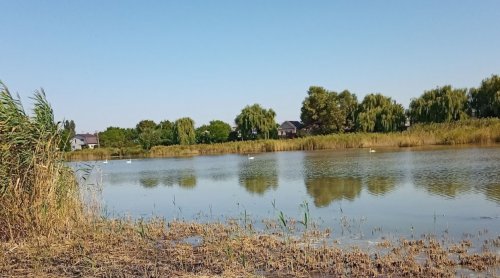 Риболовля в селі Кіровське 