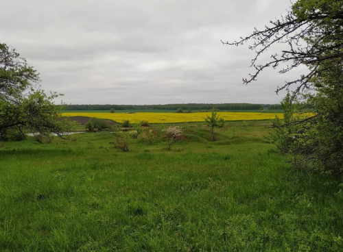 Рибалка в селі Мала П'ятигірка Житомирської області