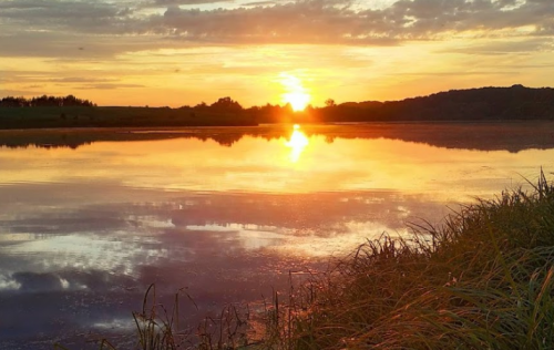 Рибалка в селі Мала П'ятигірка Житомирської області