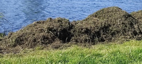 Рибалка у селі Сільце Волинської області