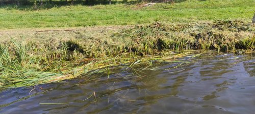 Рибалка у селі Сільце Волинської області