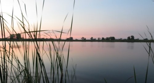 Рибне господарство Ладанка у Волинській області