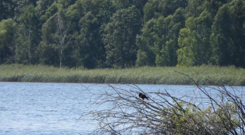 Рибне господарство Ладанка у Волинській області