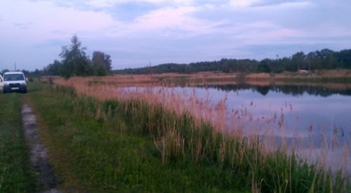 Рибне господарство Ладанка у Волинській області