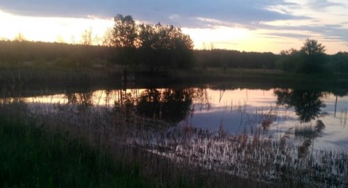 Рибне господарство Ладанка у Волинській області