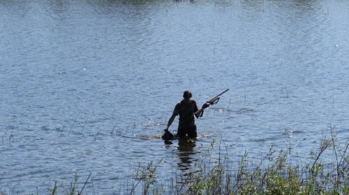 Рибне господарство Ладанка у Волинській області