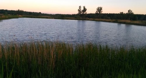 Рибне господарство Ладанка у Волинській області