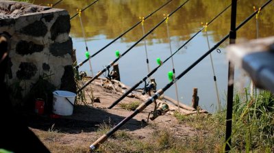 Рыболовная база «Долина цветов»