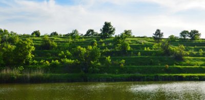 Рыболовная база «Долина цветов»