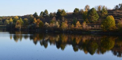 Рыболовная база «Долина цветов»