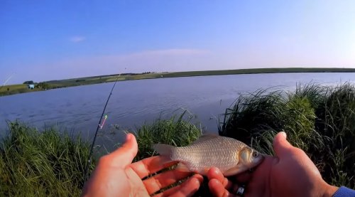 Ставок біля села Лінів Волинської області