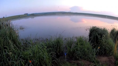 Ставок біля села Лінів Волинської області