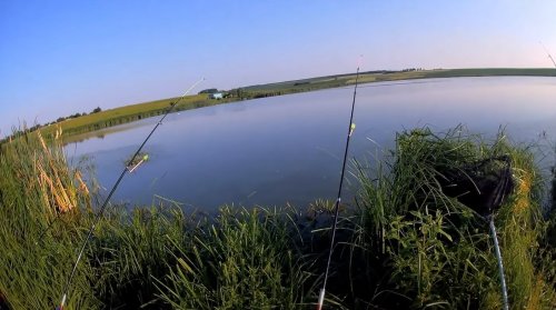 Ставок біля села Лінів Волинської області