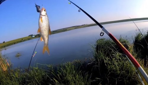 Ставок біля села Лінів Волинської області