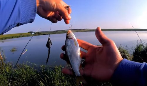 Ставок біля села Лінів Волинської області