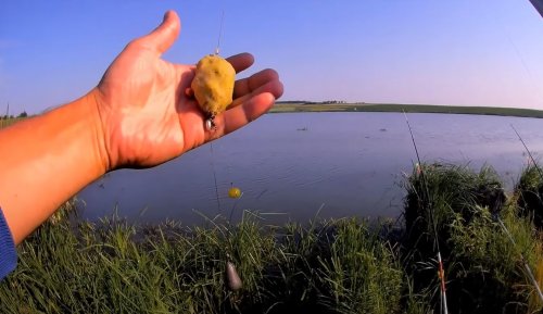 Ставок біля села Лінів Волинської області