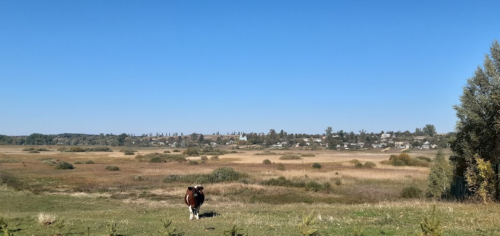 Став у селі Сьомаки Волинської області
