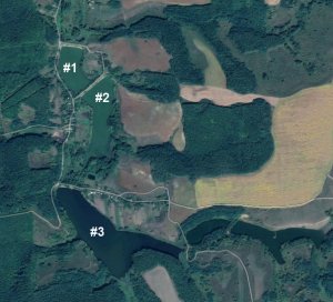 Ставки в с. Мельники Черкасской области-2