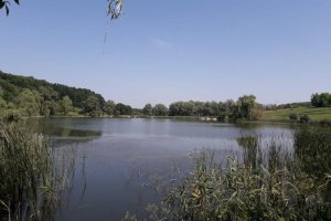 Ставки в с. Мельники Черкасской области-1