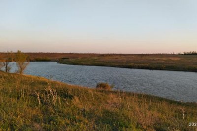 Рыбалка на ставке - У Петровича