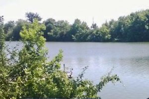 Ставок в с. Марьяновка Кировоградской области