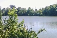 Ставок в с. Марьяновка Кировоградской области