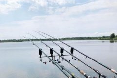 Ставок в с. Олизаровка Киевской области