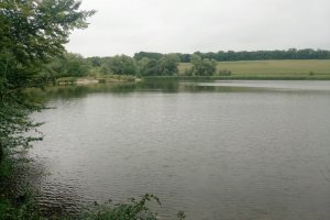 Ставок возле с. Матвеевка Черкасской области-1