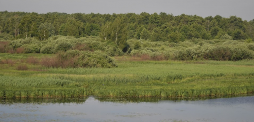 Риболовля та відпочинок у селі Городок Волинської області