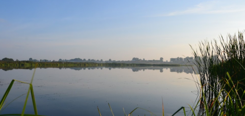 Риболовля та відпочинок у селі Городок Волинської області